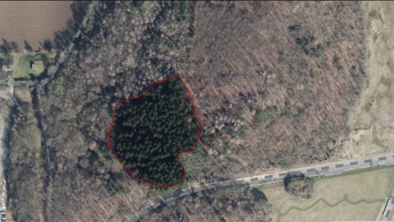 Luftbild aus der Verwaltungvorlage 10/2021-0206: Neue Fläche für den Babywald